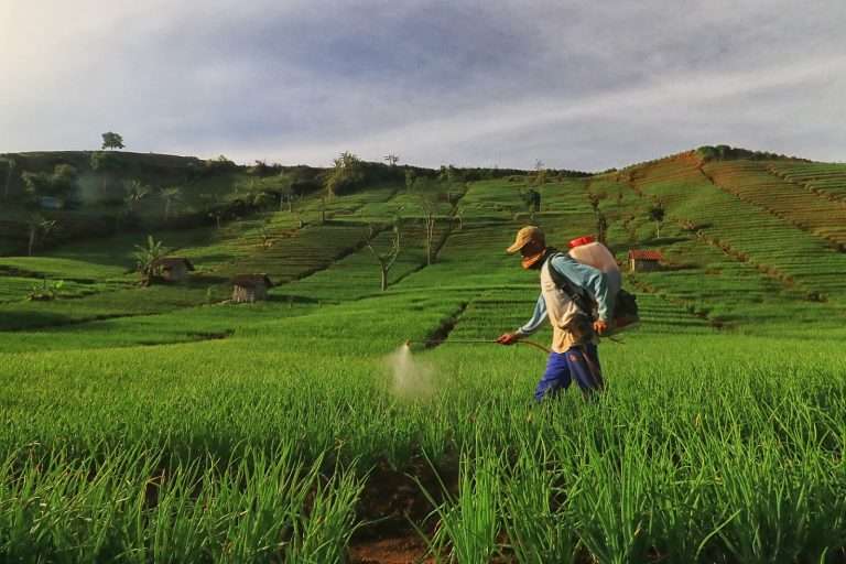 Usaha, Doa dan Tawakal Menurut Para Ulama